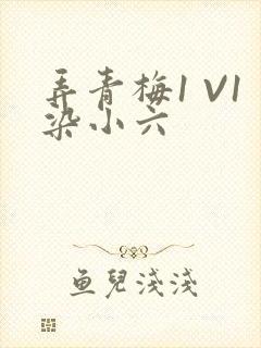 弄青梅1 V1染小六