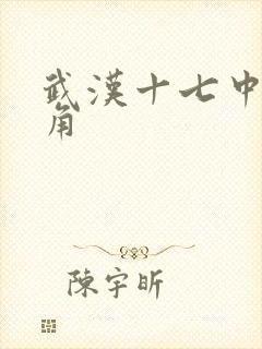 武汉十七中女主角