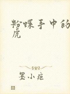 粉蝶手中的纸老虎