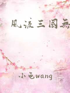 风流三国无弹窗