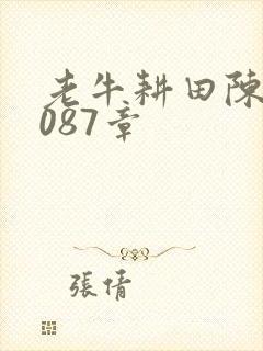 老牛耕田陈雪1087章