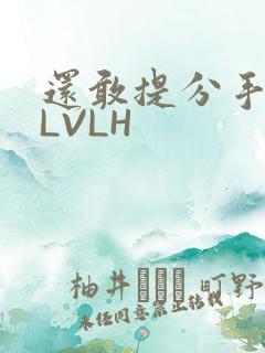 还敢提分手吗嗯LVLH