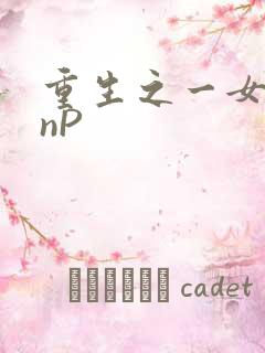 重生之一女九龙nP