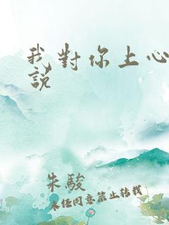 我对你上心了小说
