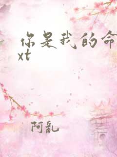 你是我的命运txt