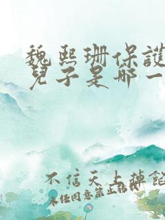 魏熙珊保护萧峥儿子是哪一集