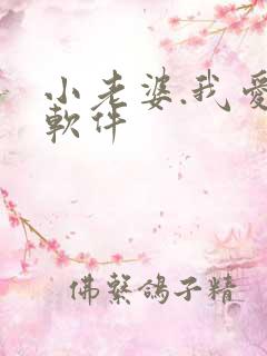 小老婆.我爱你软件