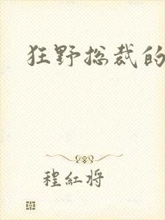 狂野总裁的女人