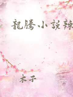 龙腾小说辣文网