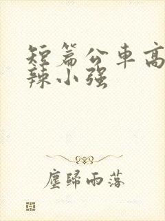 短篇公车高h肉辣小强