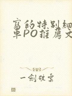 写的特别细的开车PO推荐文