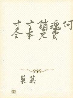 寸寸销魂何生祥全本免费