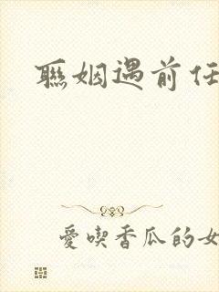 联姻遇前任小说