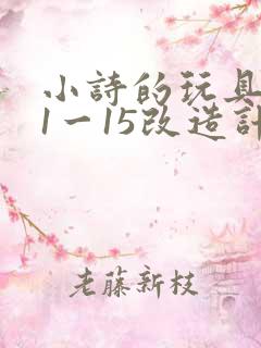小诗的玩具日记1一15改造计划