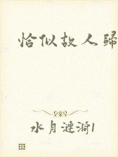 恰似故人归小说