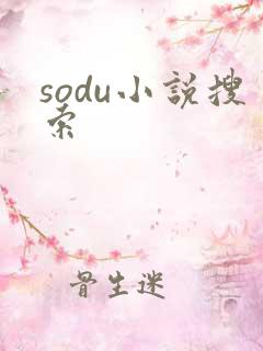 sodu小说搜索