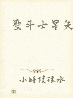 圣斗士星矢小说