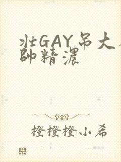 壮GAY吊大人帅精浓