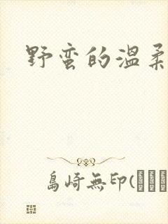 野蛮的温柔