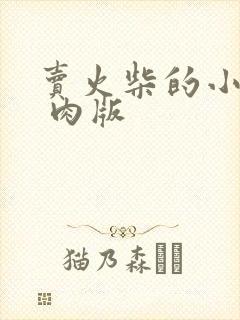 卖火柴的小男孩 肉版