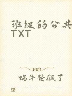 班级的公共玩具TXT
