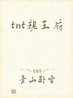 tnt亲王府