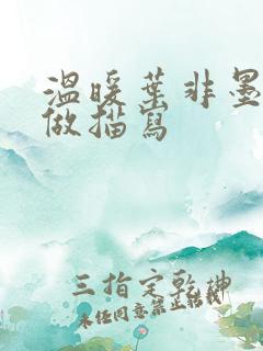 温暖叶非墨车内做描写