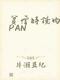 贫僧时镜肉补全PAN
