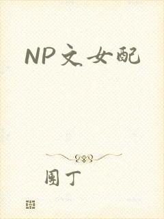 NP文女配