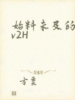 始料未及的软1v2H