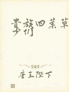 贵族四叶草的恶少们