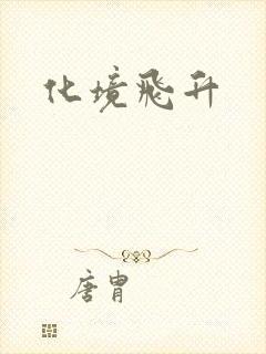 化境飞升