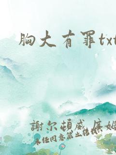 胸大有罪txt