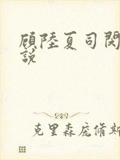 顾陆夏司闵郁小说