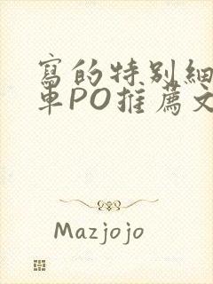 写的特别细的开车PO推荐文多人