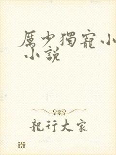 厉少独宠小娇妻 小说