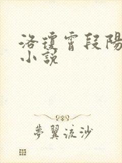 洛琼霄段阳澍的小说