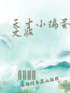 天才小捣蛋2中文版