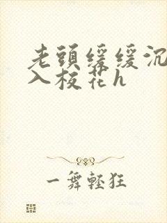 老头缓缓沉腰进入校花h