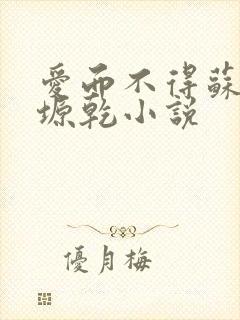 爱而不得苏路顾塬乾小说