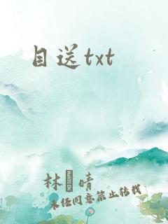 目送txt