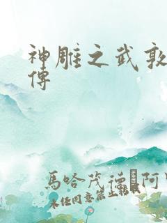 神雕之武敦儒大传