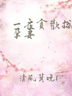 一夜贪欢总裁幸孕妻