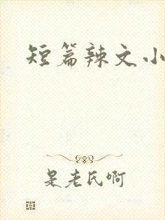 短篇辣文小说