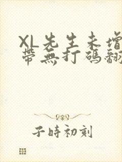 XL先生未增删带无打码翻译