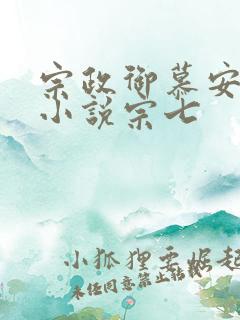 宗政御慕安安的小说宗七