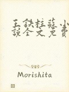 王铁柱苏小汐小说全文免费阅读最新章节