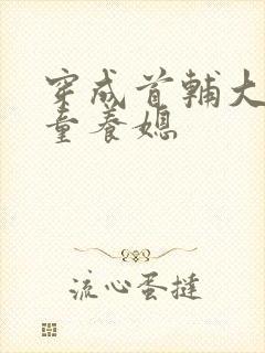 穿成首辅大人的童养媳