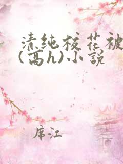 清纯校花被调教(高h)小说