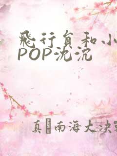 飞行员和小空乘POP沈沉